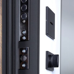 Входная металлическая дверь АСД Плата с зеркалом (адаптивная замковая часть)