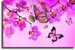 Постер "Орхидея и бабочка"