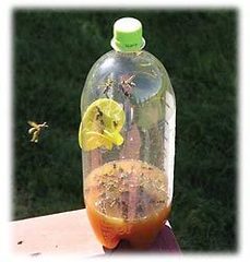 Argus garden ловушка для ос вставка 2шт