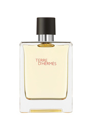 HERMES Terre d'Hermes men 100ml edt