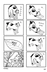 Кот-с-коготок