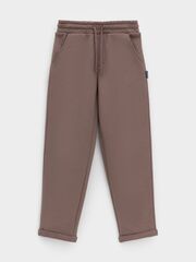 брюки  для мальчика  КР 400831/бразильский дуб к656