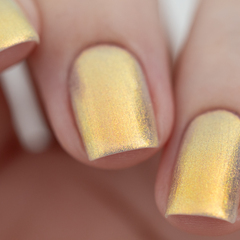 I Had All The Answers (LE)