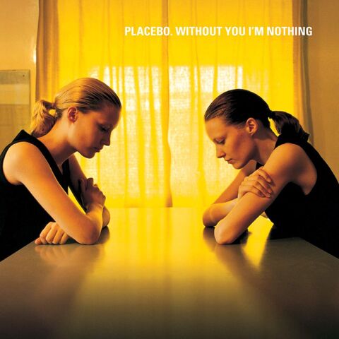 Виниловая пластинка. Placebo - Without You I'm Nothing