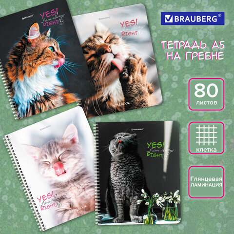 Тетрадь А5 80 л. BRAUBERG, гребень, клетка, глянцевая ламинация,