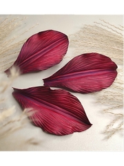 Молд пластиковый Лепесток лилии (М) 15 х 7,5