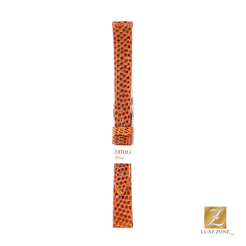 

Morellato A01D0116372041CR
