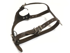 ZooMaster шлейка 20мм 60 см