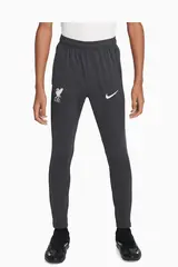 Штаны Nike Liverpool FC 24/25 Academy Pro Junior - серый