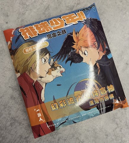 Случайный акриловый брелок Haikyuu!!
