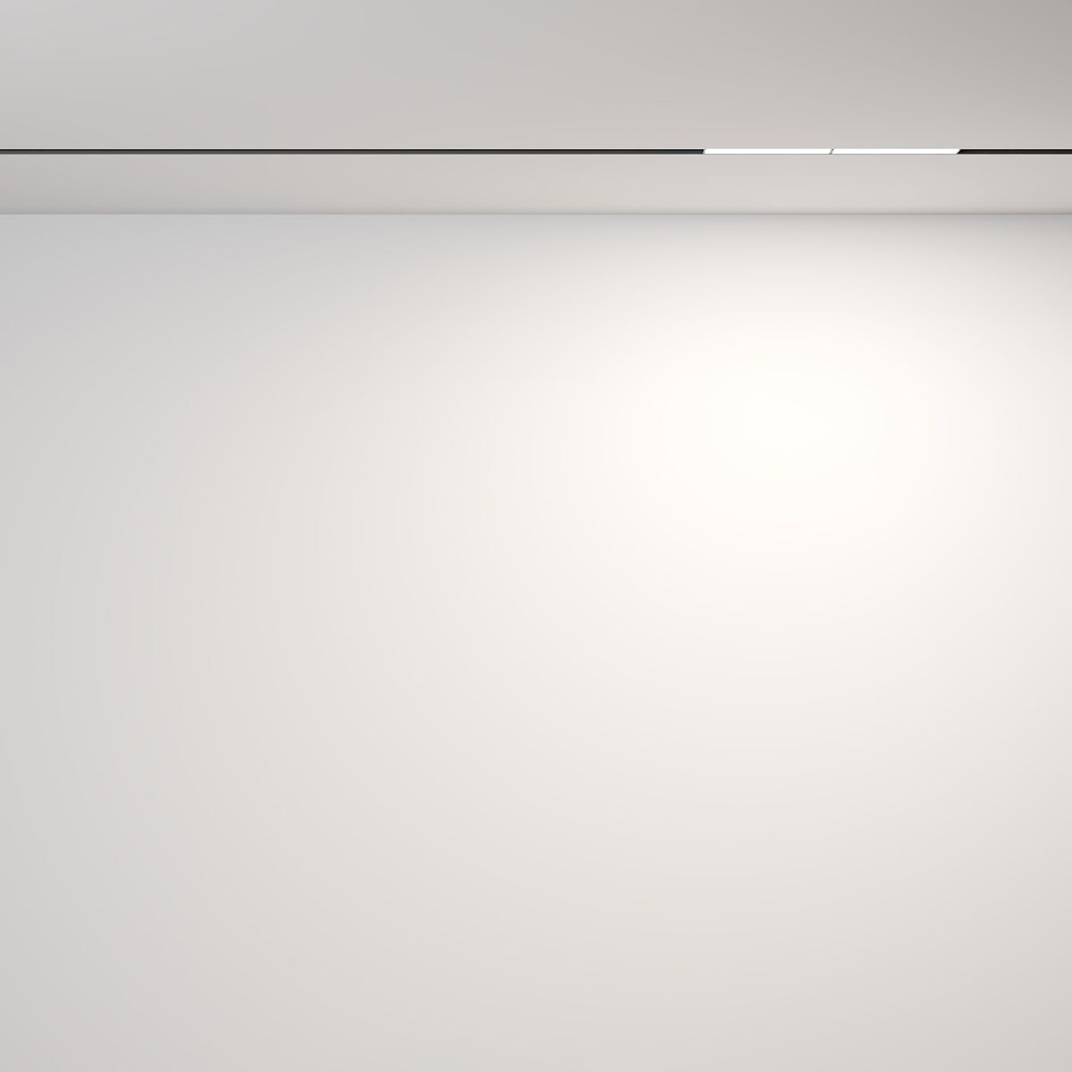 Трековый светодиодный светильник Maytoni Technical Magnetic Exility Parete TR106-4-12W-DS-B