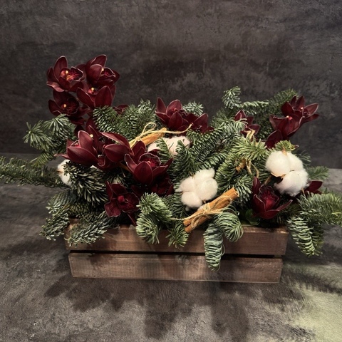 Рождественская композиция в ящике из живых еловых ветвей и орхидей