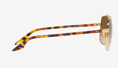 Очки Ray Ban RB3699 001/51