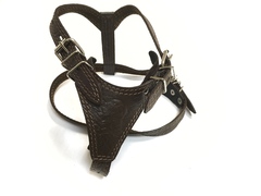 ZooMaster шлейка 20мм 60 см