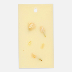 СВЕЧЕНИЕ Аромасаше Жасмин