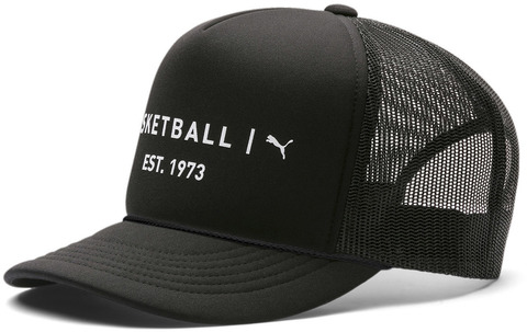 Картинка кепка Puma Basketball FB Cap черный - 1