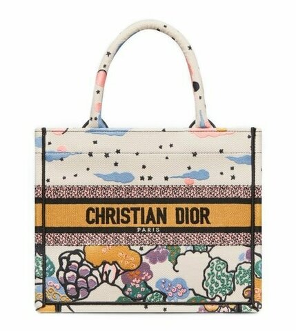 Сумка Dior Book Tote, модель маленького формата белый