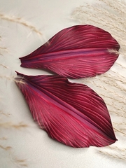 Молд пластиковый Лепесток лилии (М) 15 х 7,5