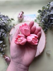 Силиконовая форма 