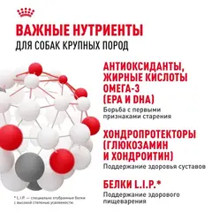 Royal Canin Maxi Ageing 8+ сухой корм для стареющих собак крупных пород 3 кг