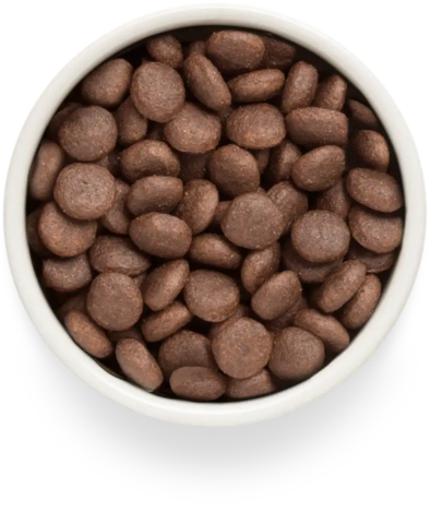 PREMIER Свежее мясо ягненка с индейкой для взрослых собак крупных пород