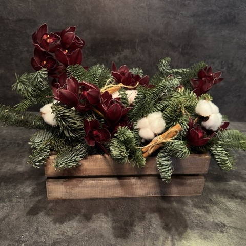 Рождественская композиция в ящике из живых еловых ветвей и орхидей
