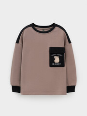 джемпер  для мальчика  КР 302772/древесный к644