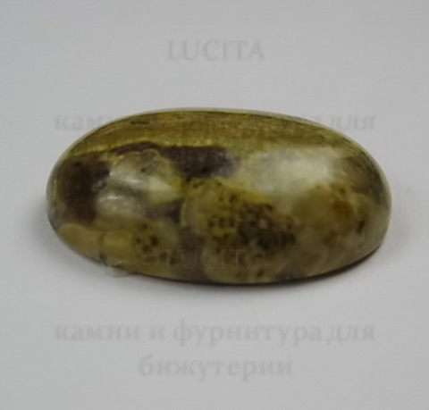 Кабошон Яшма "Шкура леопарда"  25х18 мм №9 ()