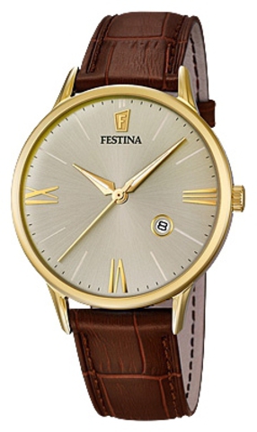 Наручные часы Festina F16825/2 фото