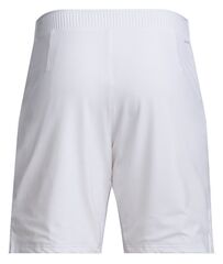 Теннисные шорты Adidas Ergo Short 7