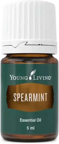 Young Living. Мята Колосистая (Spearmint) – 5 ml