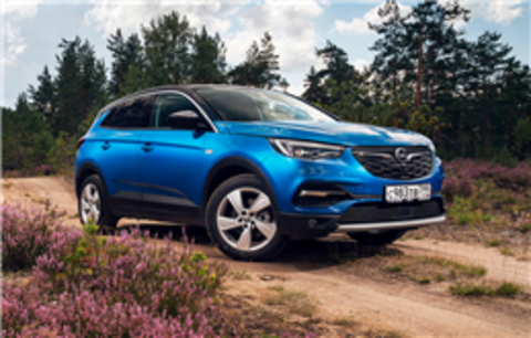 Гарант Блок Люкс 091.x/f для OPEL GRANDLAND X 2017- *ЭЛУР