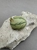 Арбуз с лягушкой, глина, 5/4см