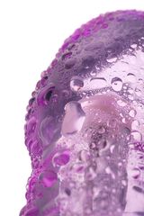 Фиолетовый вибратор High-Tech fantasy с клиторальным лепестком - 21 см. - 