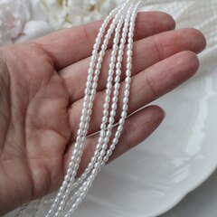 Жемчуг натуральный речной, рис, 2,8-3,8 мм, 1 нить, Ж015