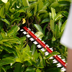 Кусторез Greenworks G40HT61 40V (61 см) аккумуляторный, без АКБ и ЗУ