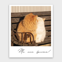 Фото-карточка 