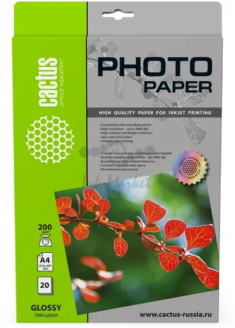 Фотобумага Cactus CS-GA420020 A4/200г/м2/20л./белый глянцевое для струйной печати