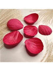 Молды пластиковые Набор М12-2 лепестки пиона