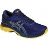 Кроссовки беговые Asics Gel Kayano 25 blue мужские