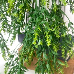 №2 Ампельное растение, искусственная зелень, Акация, 78 см.