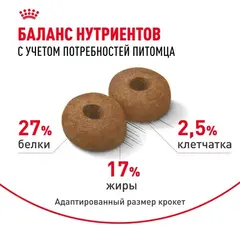 Royal Canin Maxi Ageing 8+ сухой корм для стареющих собак крупных пород 3 кг