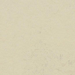 Мармолеум замковый Forbo Marmoleum Click Square 300*300 333701 Moon