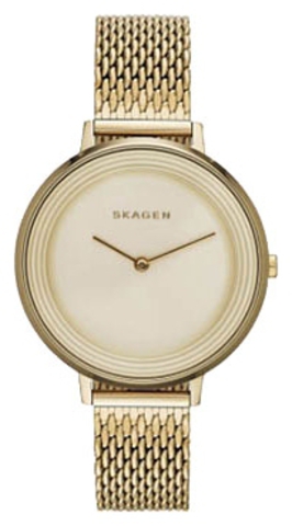 Наручные часы Skagen SKW2333 фото