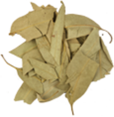 Эвкалипт (лист)