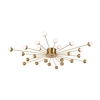 Потолочный светильник Freya Celebrity FR5242CL-24BS