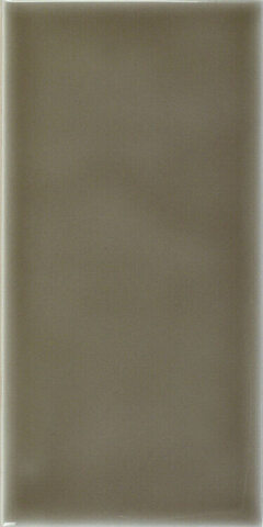 Adex Studio Liso Eucalyptus 9.8x19.8