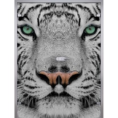 Купить Двустворчатая стеклянная дверь Animal триплекс фотопечать