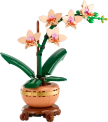 Конструктор LEGO Botanical Collection 10343 Мини орхидея