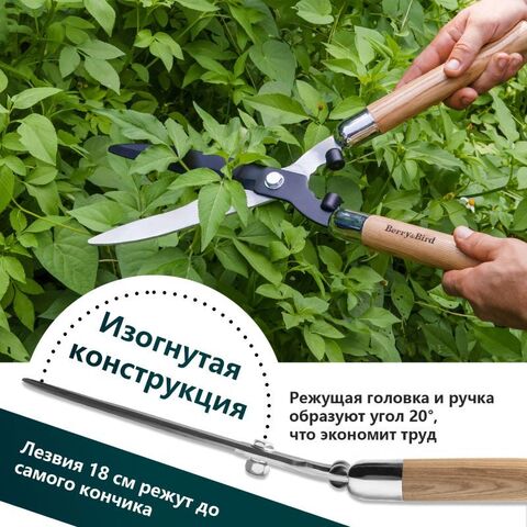 Ножницы для живой изгороди садовые Berry&Bird